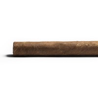 Aladino Corojo Santi Cigar - 1 Single